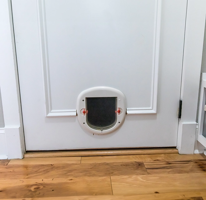 A white wooden door featuring a small pet door at the bottom.
